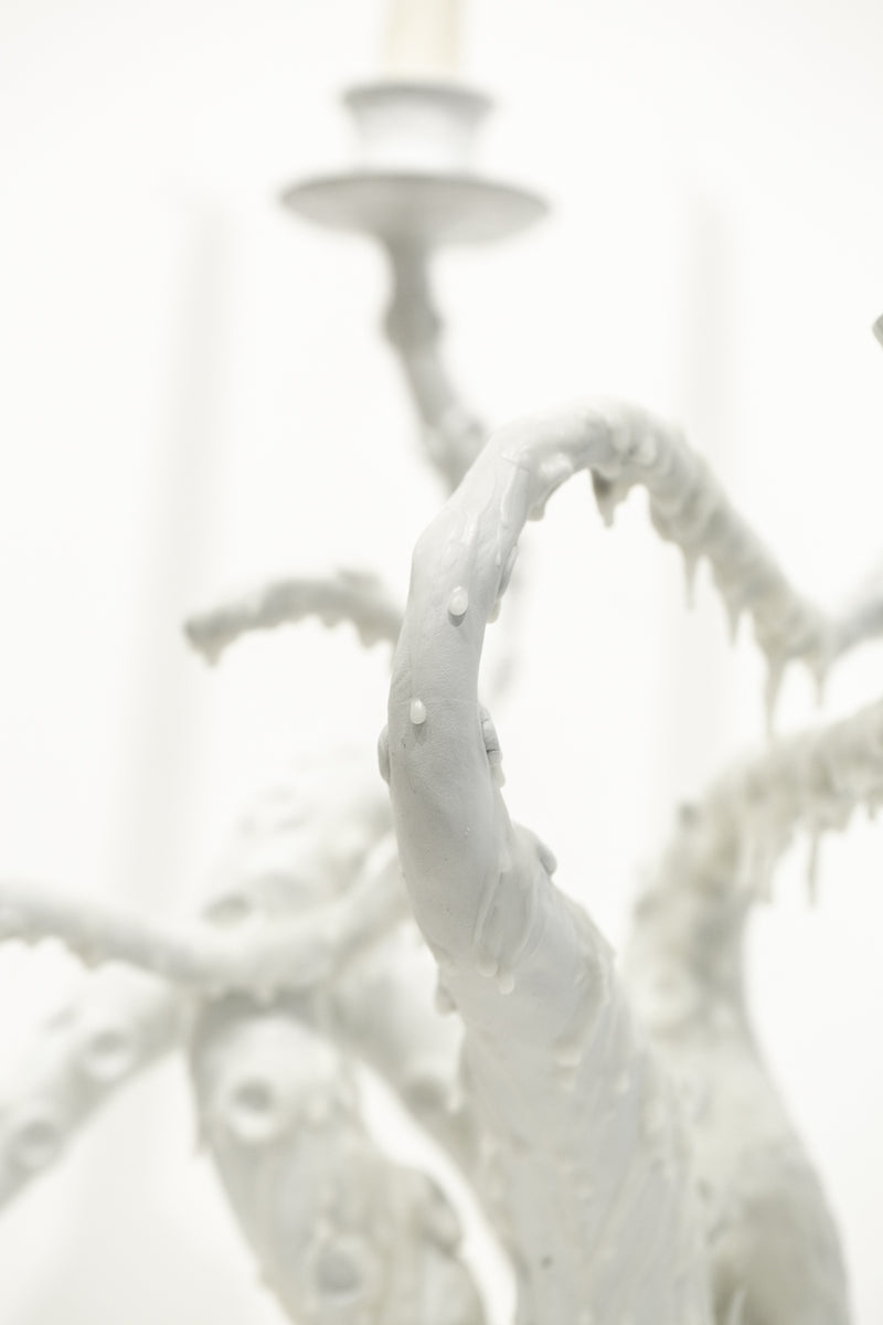 Snowy White Owl Feathers and Orca Fins