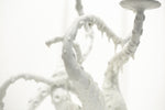 Snowy White Owl Feathers and Orca Fins