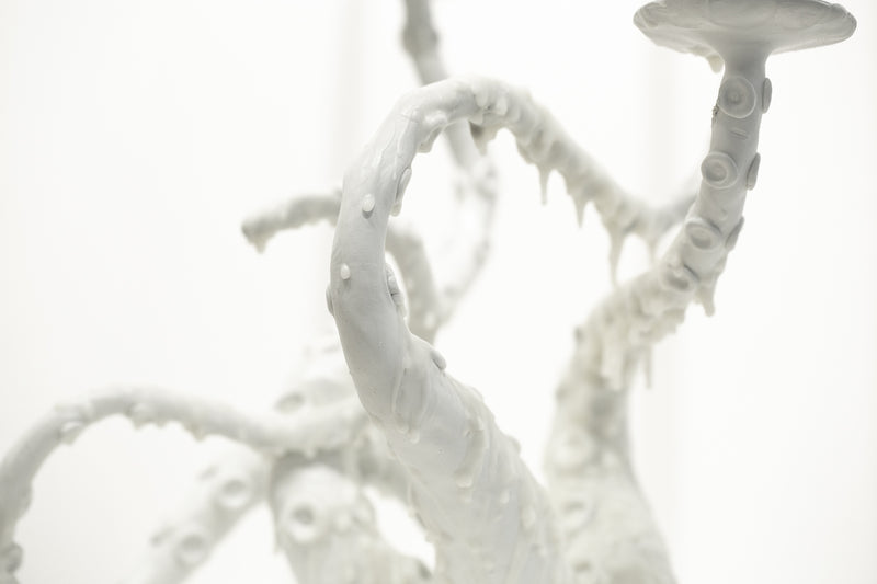 Snowy White Owl Feathers and Orca Fins