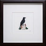 American Crow