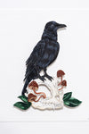 American Crow