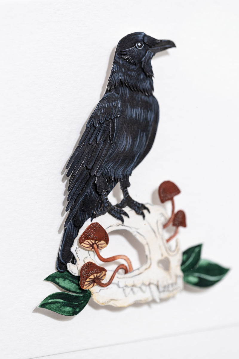 American Crow