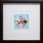American Flamingo