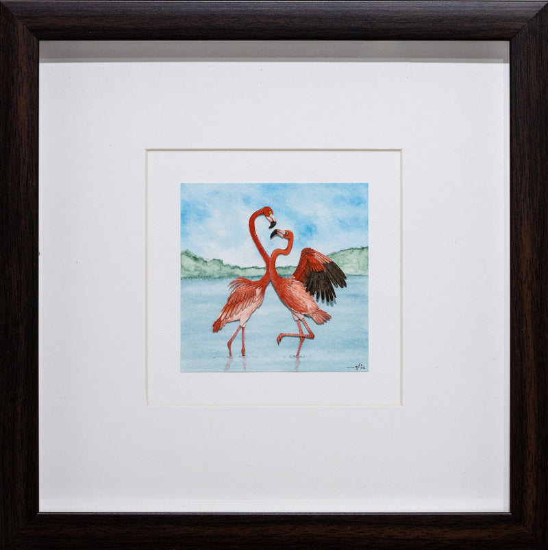 American Flamingo