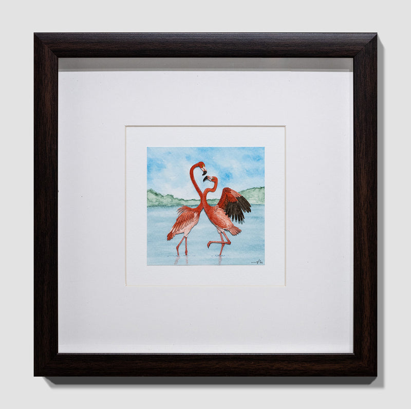 American Flamingo