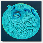 Angry Fugu