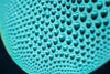 Angry Fugu