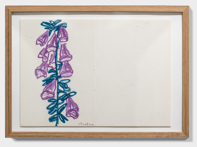 Purple Flowers