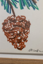 Pinecone