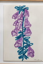 Purple Flowers