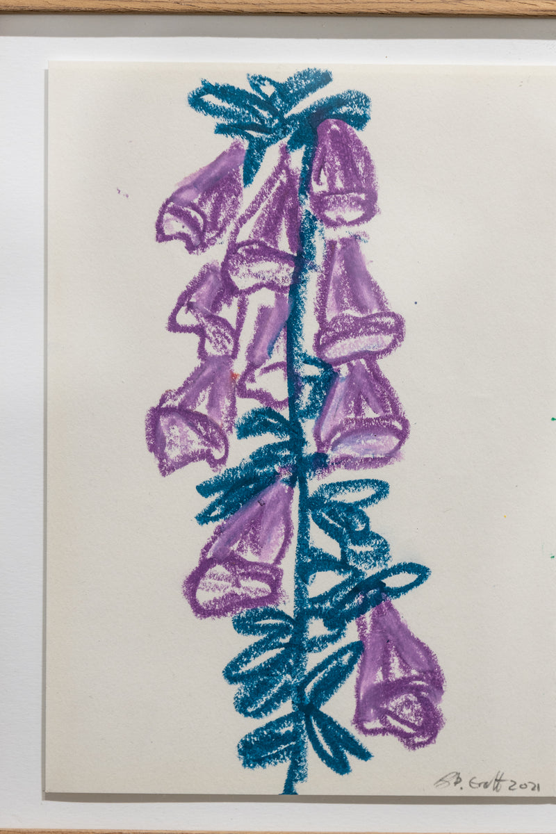 Purple Flowers