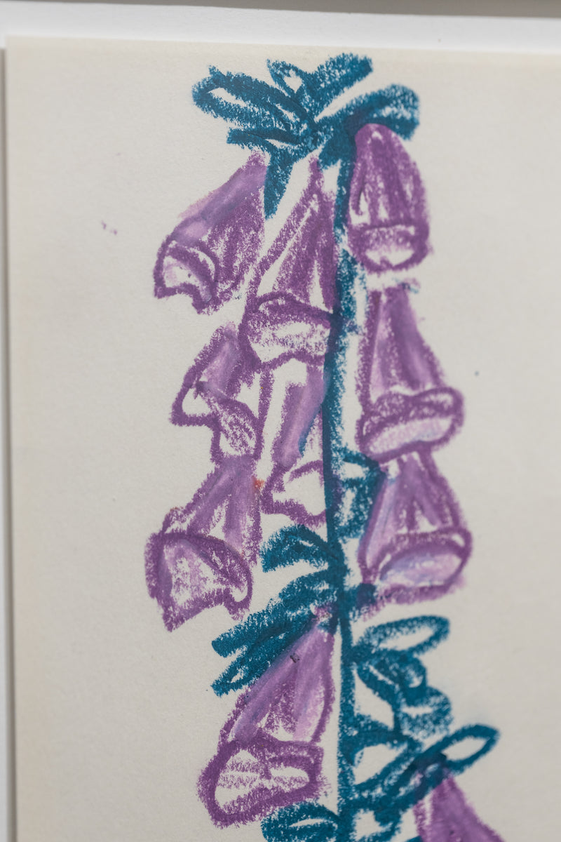 Purple Flowers