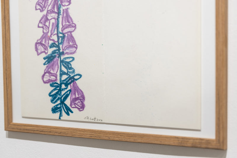 Purple Flowers