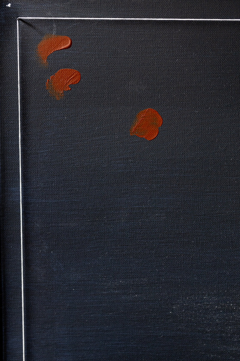BLUE BAND RED SETTING (diptych)