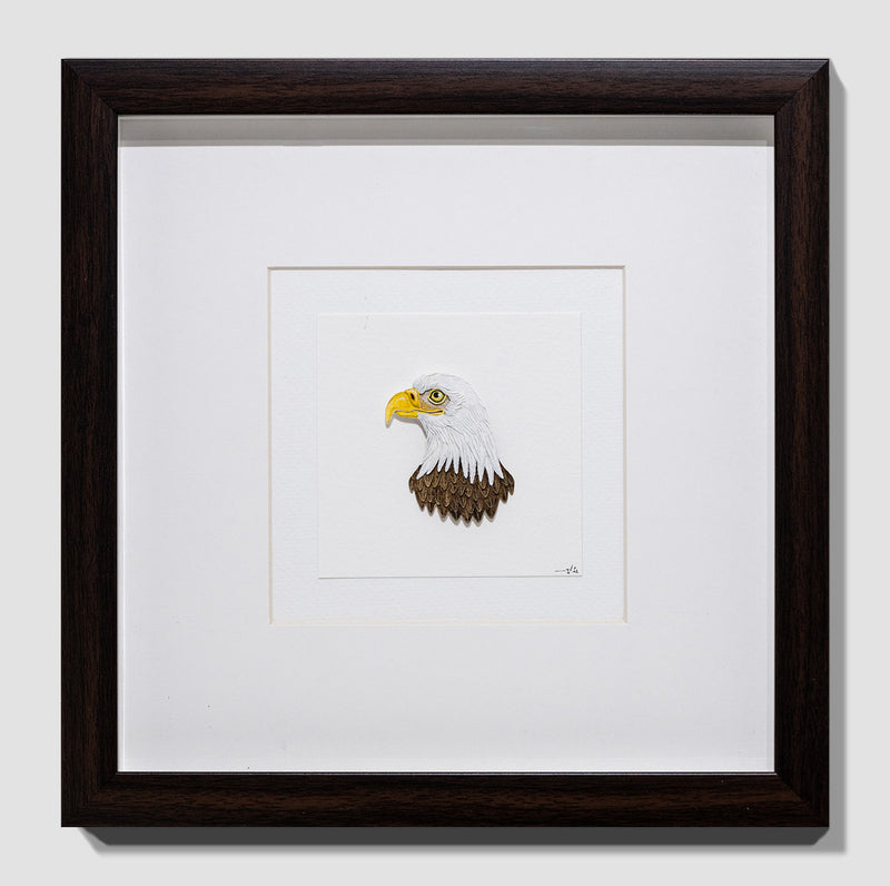 Bald Eagle Portrait