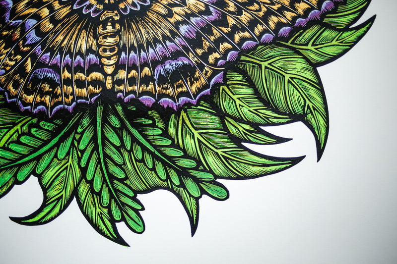 Black Witch Moth (Silkscreen Print)