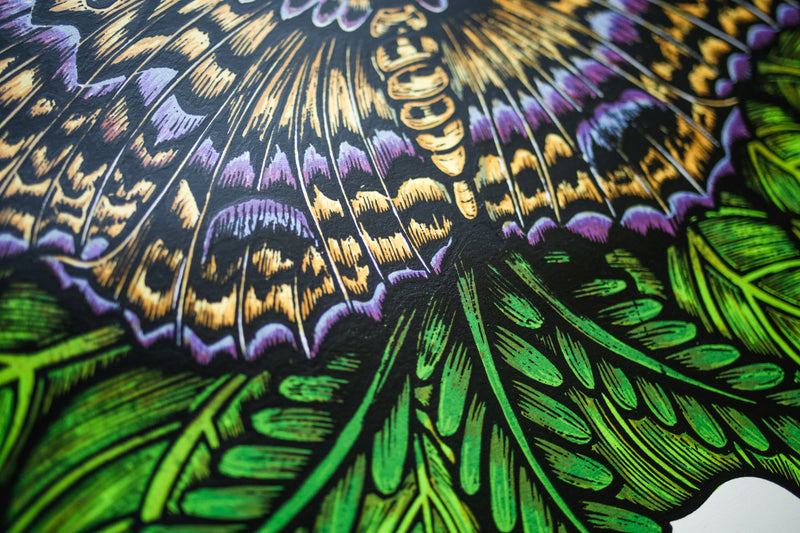 Black Witch Moth (Silkscreen Print)