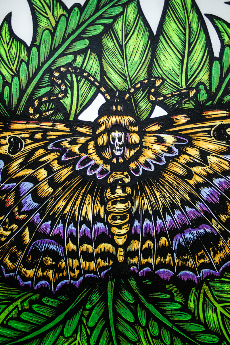 Black Witch Moth (Silkscreen Print)