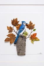 Blue Jay