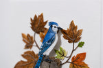 Blue Jay