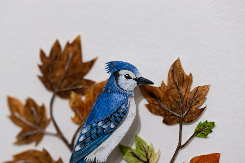 Blue Jay