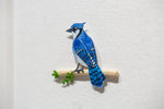 Blue Jay (2018)