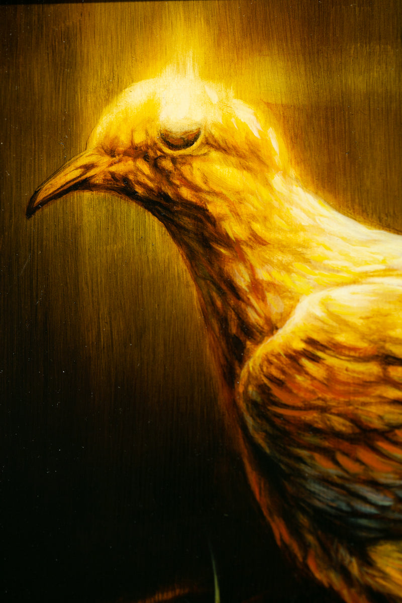 Rain Dove