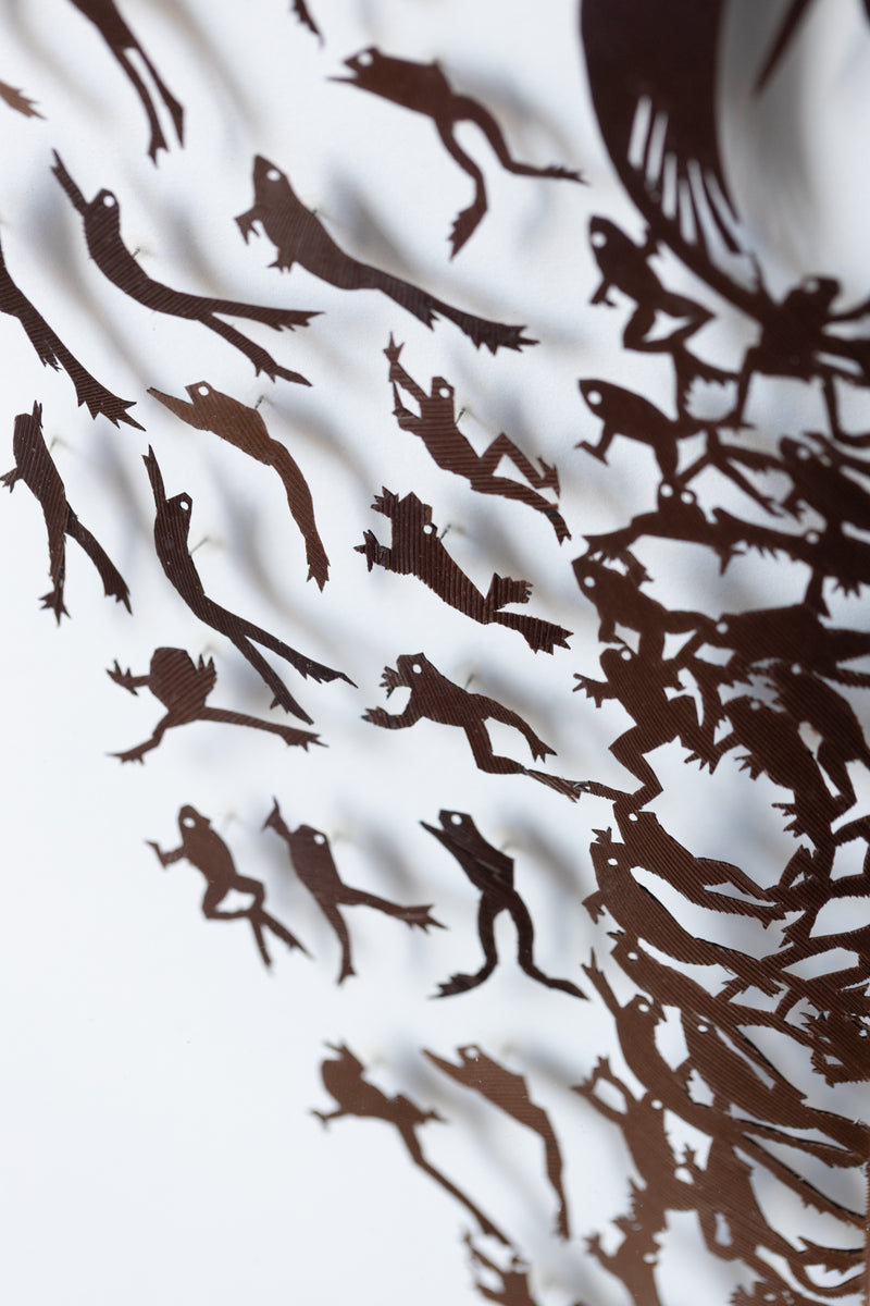 Amphibian Delight