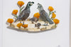 California Quail family