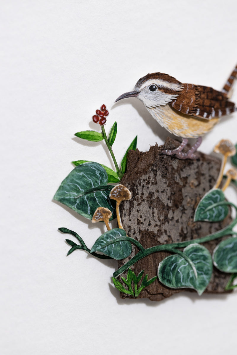 Carolina Wren