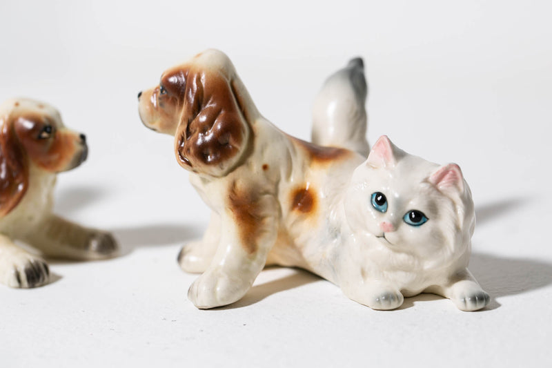 Persian Spaniels