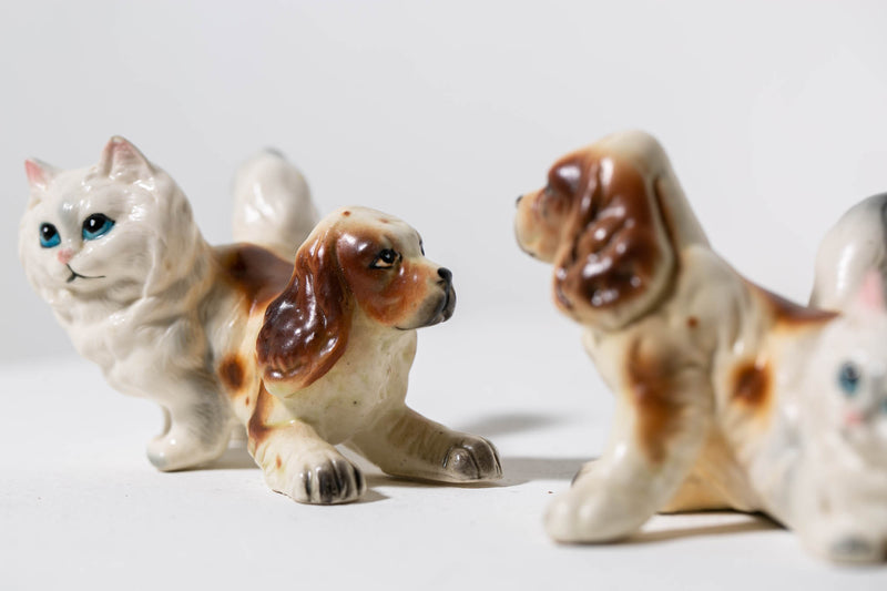 Persian Spaniels