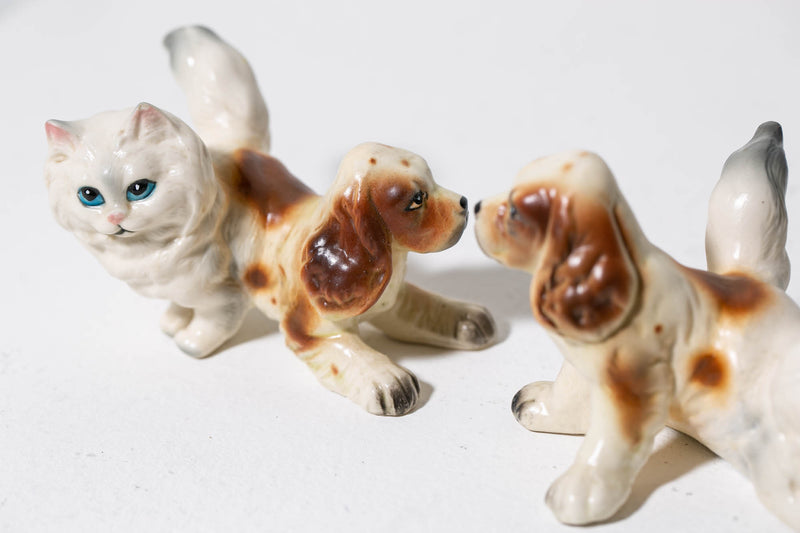 Persian Spaniels