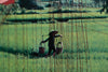 China Wall Animation, Scene 6