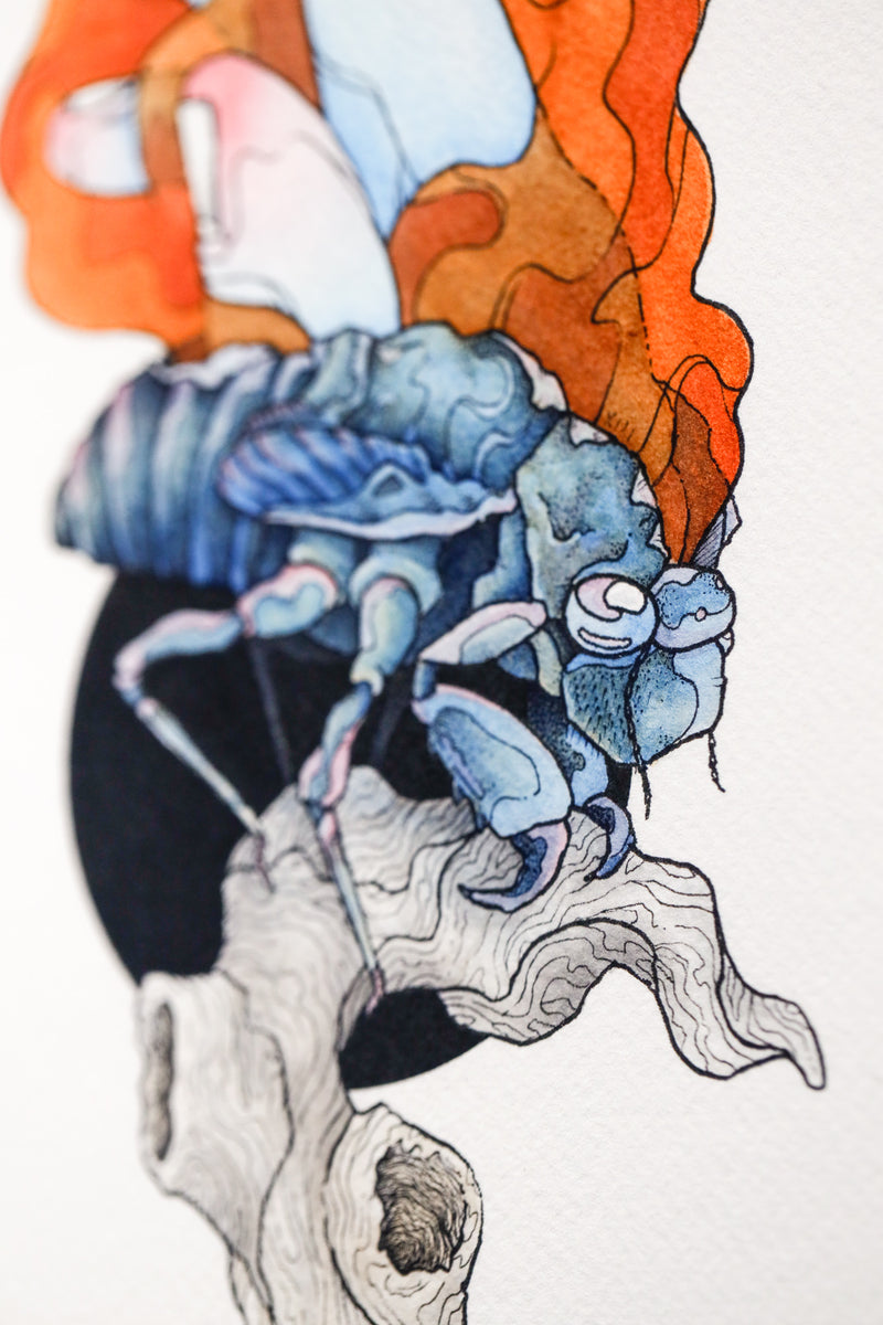 Voices
