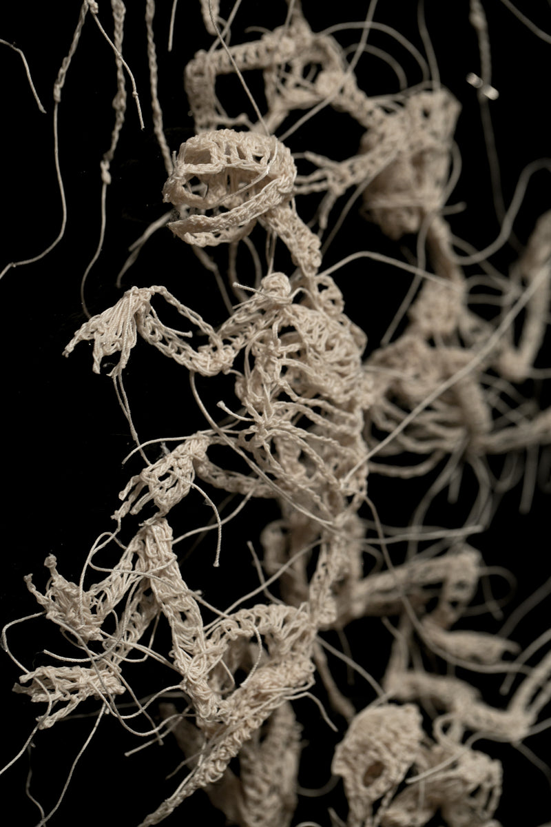 Cold Soil Caucus