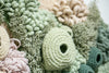 Coralium
