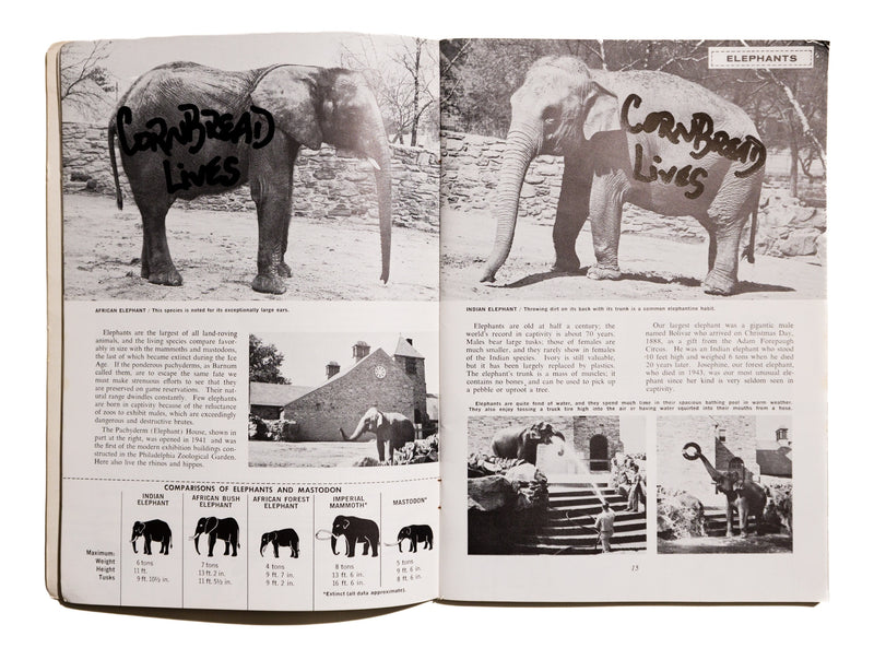 Cornbread Lives Philadelphia Zoo Animal Book