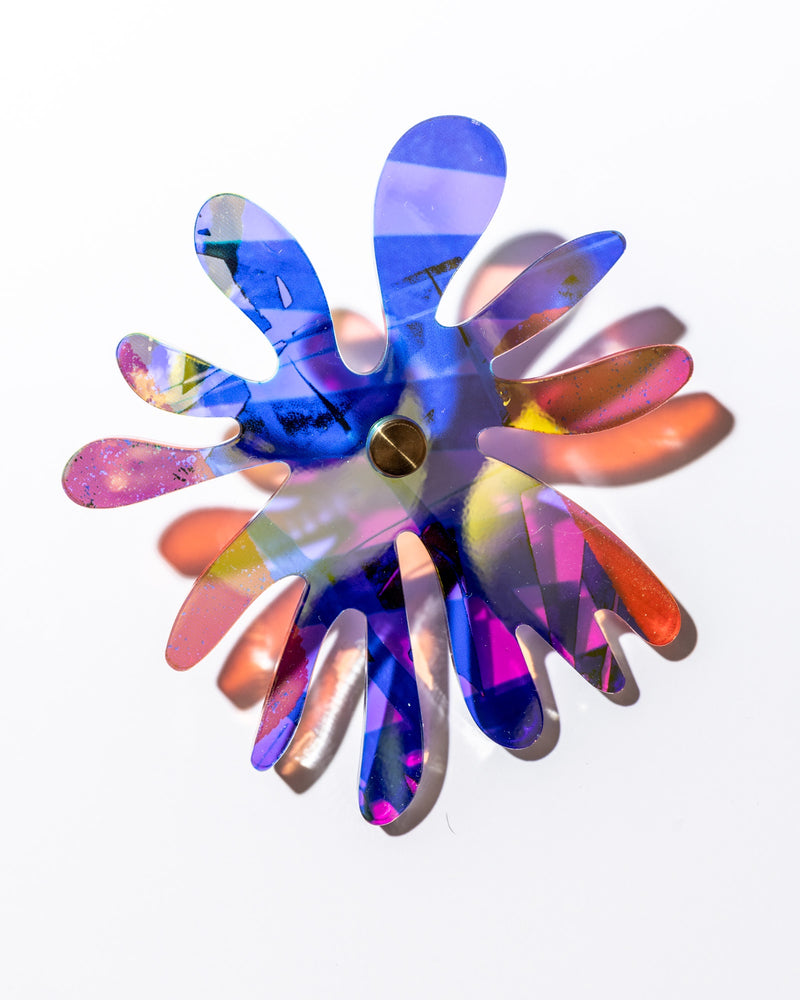Cornflower series 1