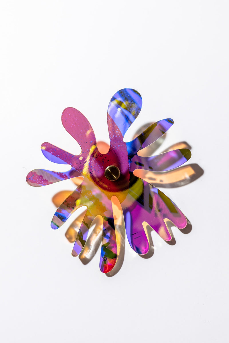 Cornflower series 5