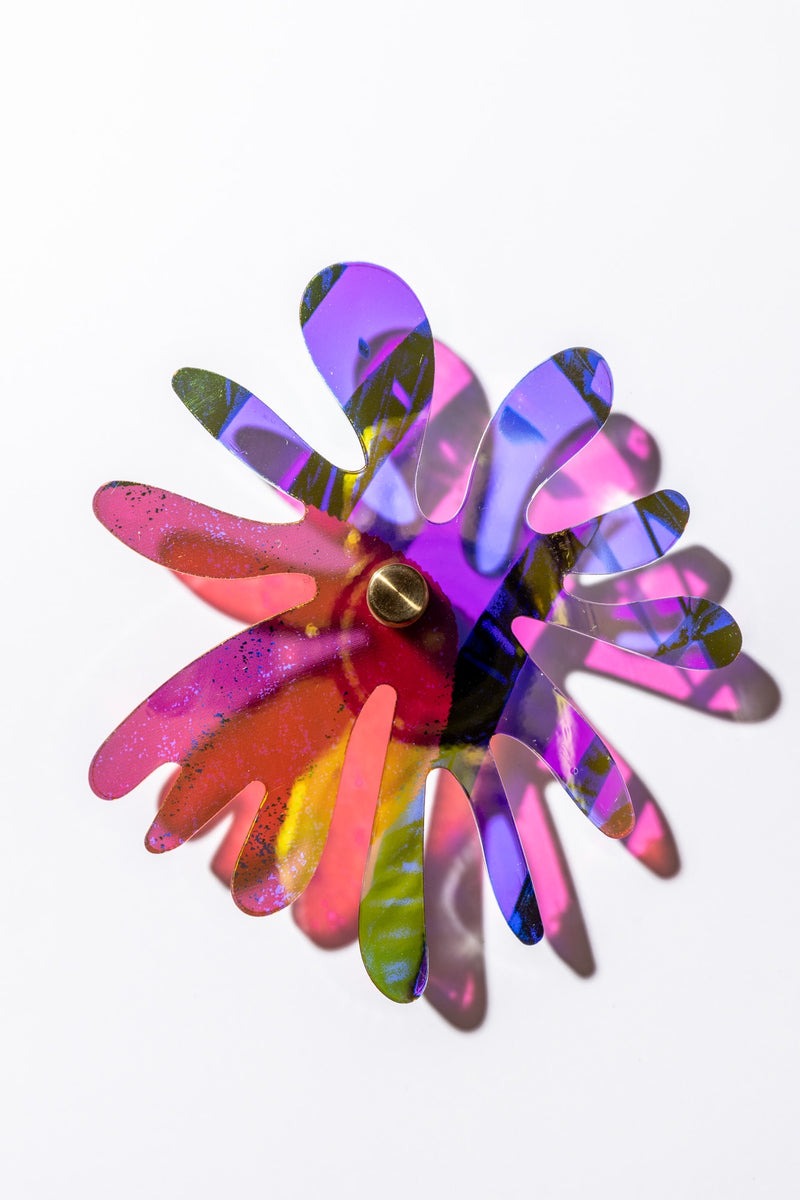 Cornflower series 6
