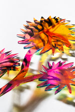 Cornflowers