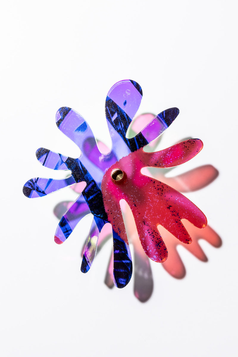 Cornflower series 6