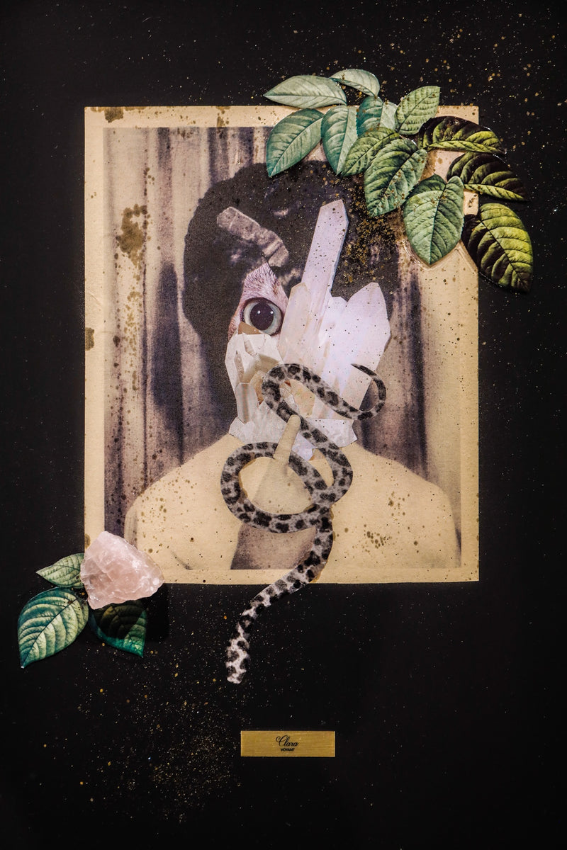 Clara - Voyant
