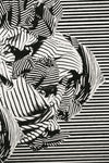 Dazzle Camouflage