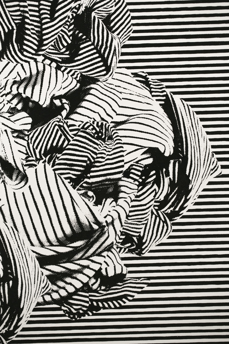 Dazzle Camouflage