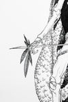 Dead King 29 [18th Century Polynesian King]