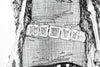 Dead King 17 [10th Century Norwegian Lord]