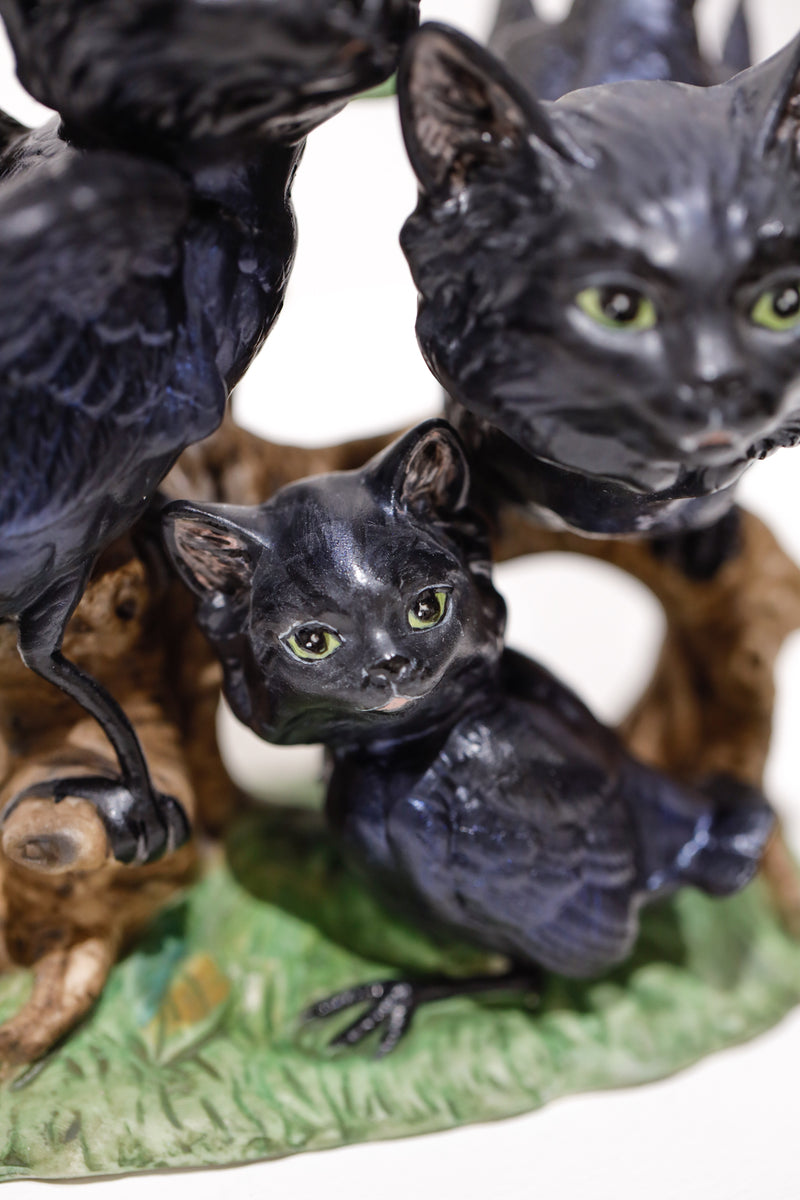 Black Cat Crow Family