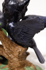 Black Cat Crow Family